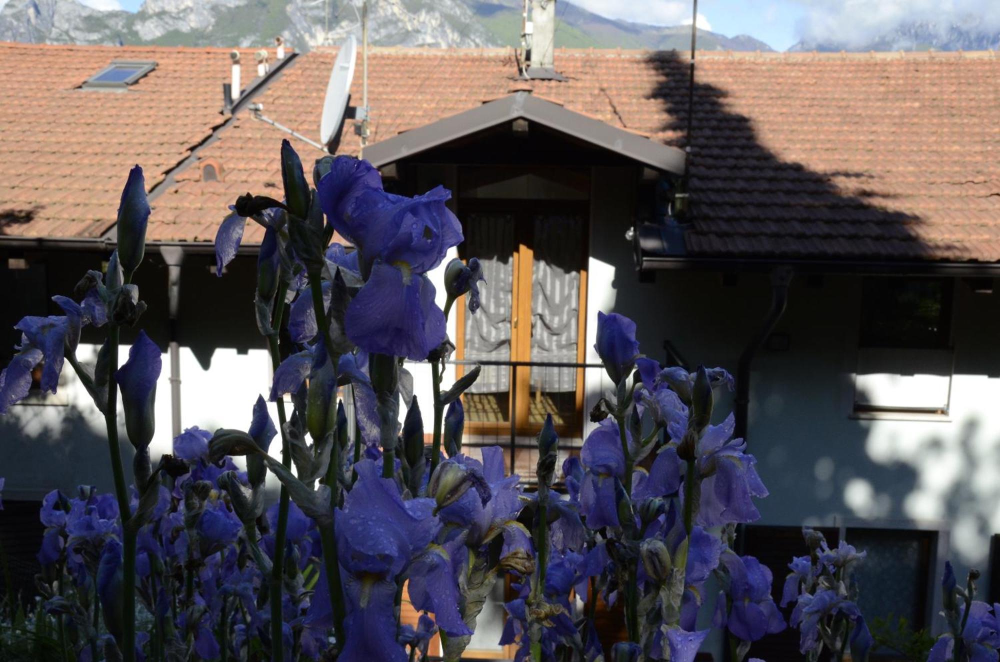 Appartamento Al Forte Torbole Sul Garda Eksteriør billede